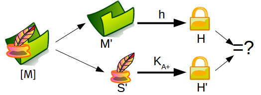 Verification of digital signature